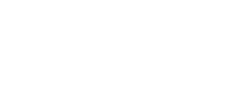 lithic